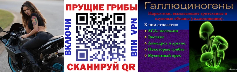 Галлюциногенные грибы прущие грибы Малоархангельск